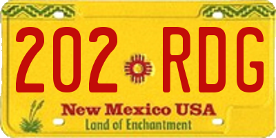 NM license plate 202RDG