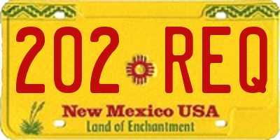 NM license plate 202REQ