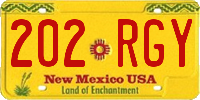 NM license plate 202RGY