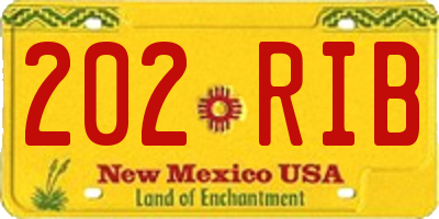 NM license plate 202RIB