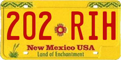NM license plate 202RIH