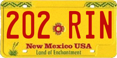 NM license plate 202RIN