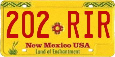NM license plate 202RIR