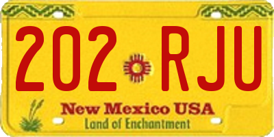 NM license plate 202RJU