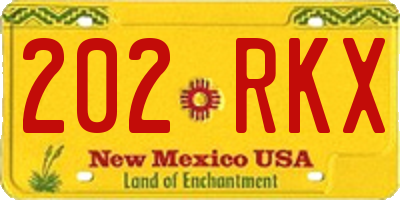 NM license plate 202RKX