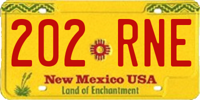 NM license plate 202RNE