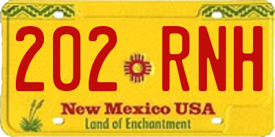 NM license plate 202RNH
