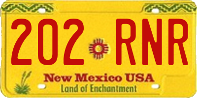 NM license plate 202RNR