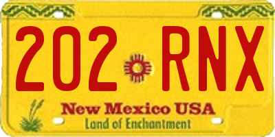 NM license plate 202RNX