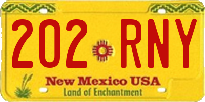 NM license plate 202RNY