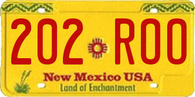 NM license plate 202ROO