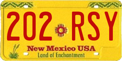 NM license plate 202RSY