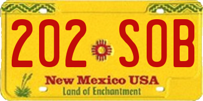 NM license plate 202SOB