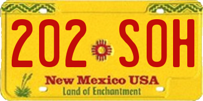 NM license plate 202SOH