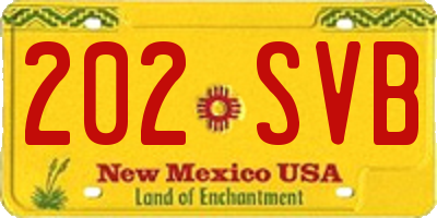 NM license plate 202SVB