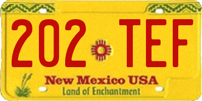 NM license plate 202TEF