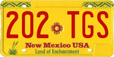 NM license plate 202TGS