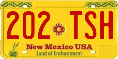 NM license plate 202TSH