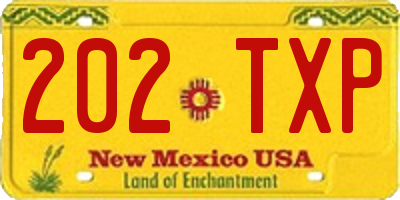 NM license plate 202TXP