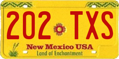 NM license plate 202TXS