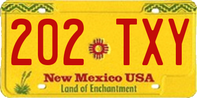 NM license plate 202TXY