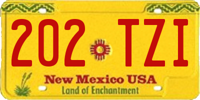 NM license plate 202TZI