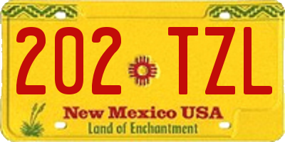 NM license plate 202TZL