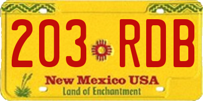 NM license plate 203RDB