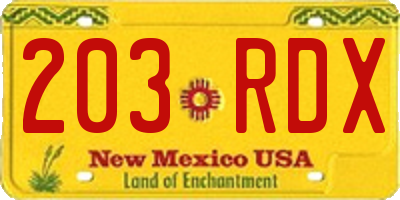 NM license plate 203RDX