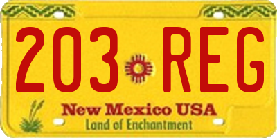 NM license plate 203REG