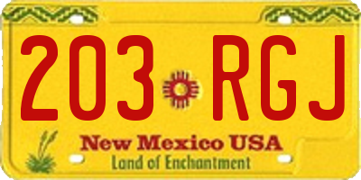 NM license plate 203RGJ