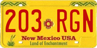 NM license plate 203RGN