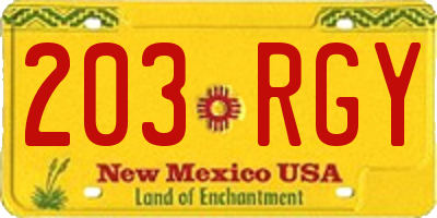 NM license plate 203RGY