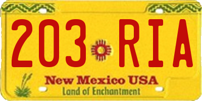 NM license plate 203RIA