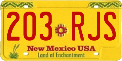 NM license plate 203RJS