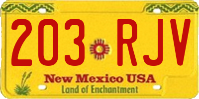 NM license plate 203RJV