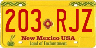 NM license plate 203RJZ