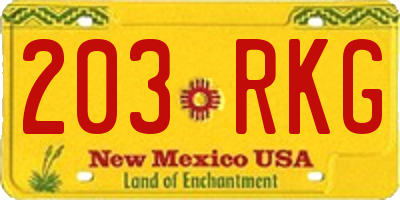 NM license plate 203RKG