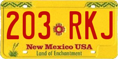 NM license plate 203RKJ