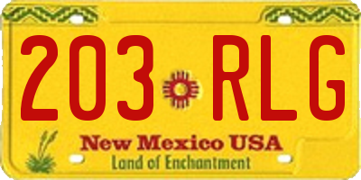 NM license plate 203RLG
