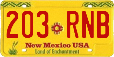 NM license plate 203RNB