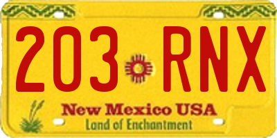 NM license plate 203RNX