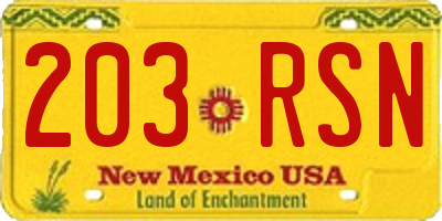 NM license plate 203RSN