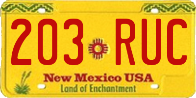 NM license plate 203RUC