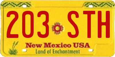 NM license plate 203STH