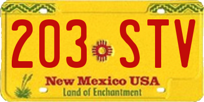 NM license plate 203STV