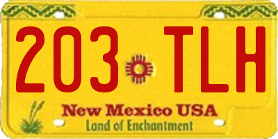 NM license plate 203TLH