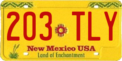 NM license plate 203TLY