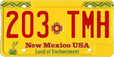 NM license plate 203TMH