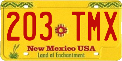 NM license plate 203TMX